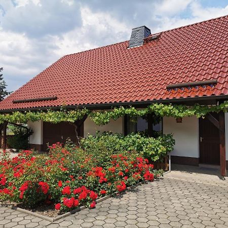 Ferienhaus Rosenhof Glaubitz Exterior foto